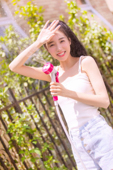 血玫瑰在线观看